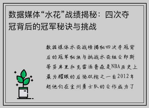 数据媒体“水花”战绩揭秘：四次夺冠背后的冠军秘诀与挑战