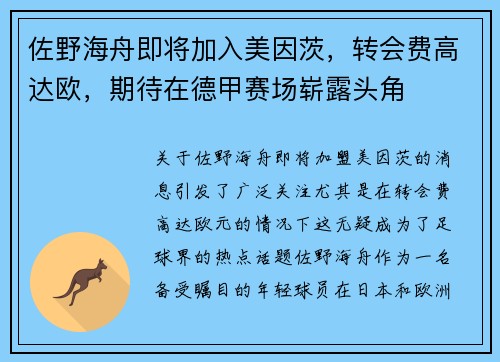 佐野海舟即将加入美因茨，转会费高达欧，期待在德甲赛场崭露头角