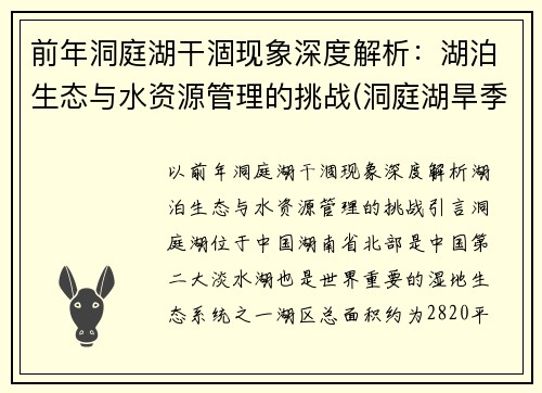 前年洞庭湖干涸现象深度解析：湖泊生态与水资源管理的挑战(洞庭湖旱季)