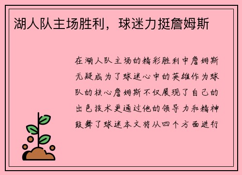 湖人队主场胜利，球迷力挺詹姆斯